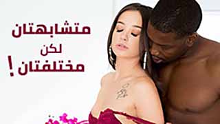 سكس العرب - نعش بعضنا في عالم السكس رغم الاختلافات